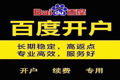 百度搜索广告运营推广：某行业领先企业的秘密武器